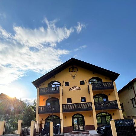 Casa Lupascu Hotel Dornavátra Kültér fotó