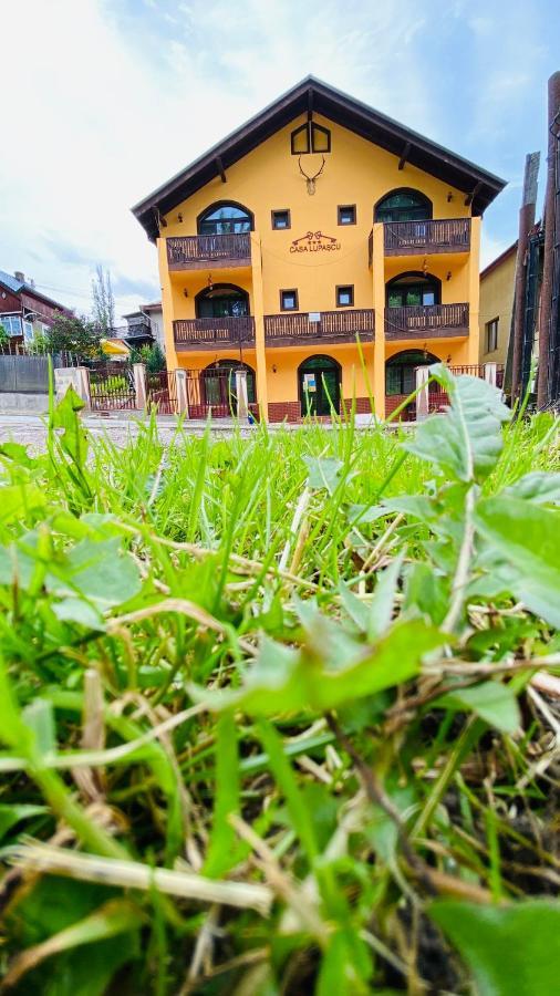 Casa Lupascu Hotel Dornavátra Kültér fotó