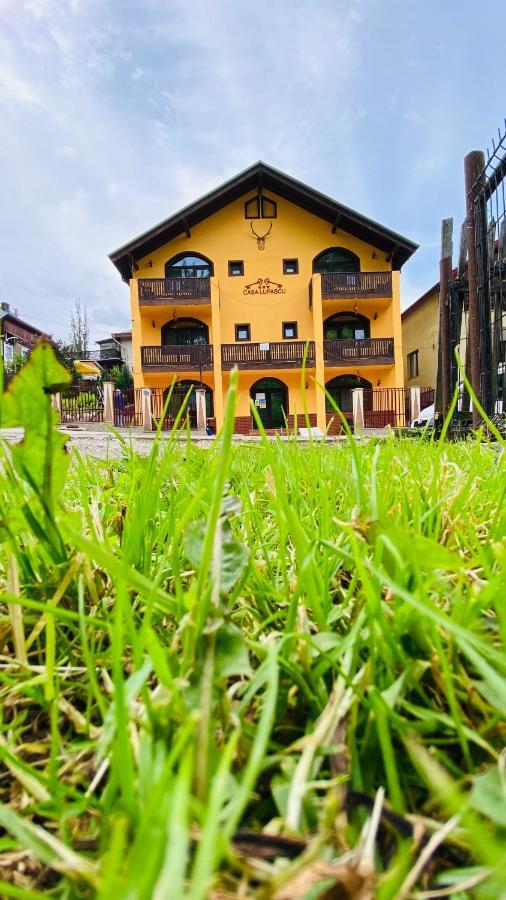 Casa Lupascu Hotel Dornavátra Kültér fotó