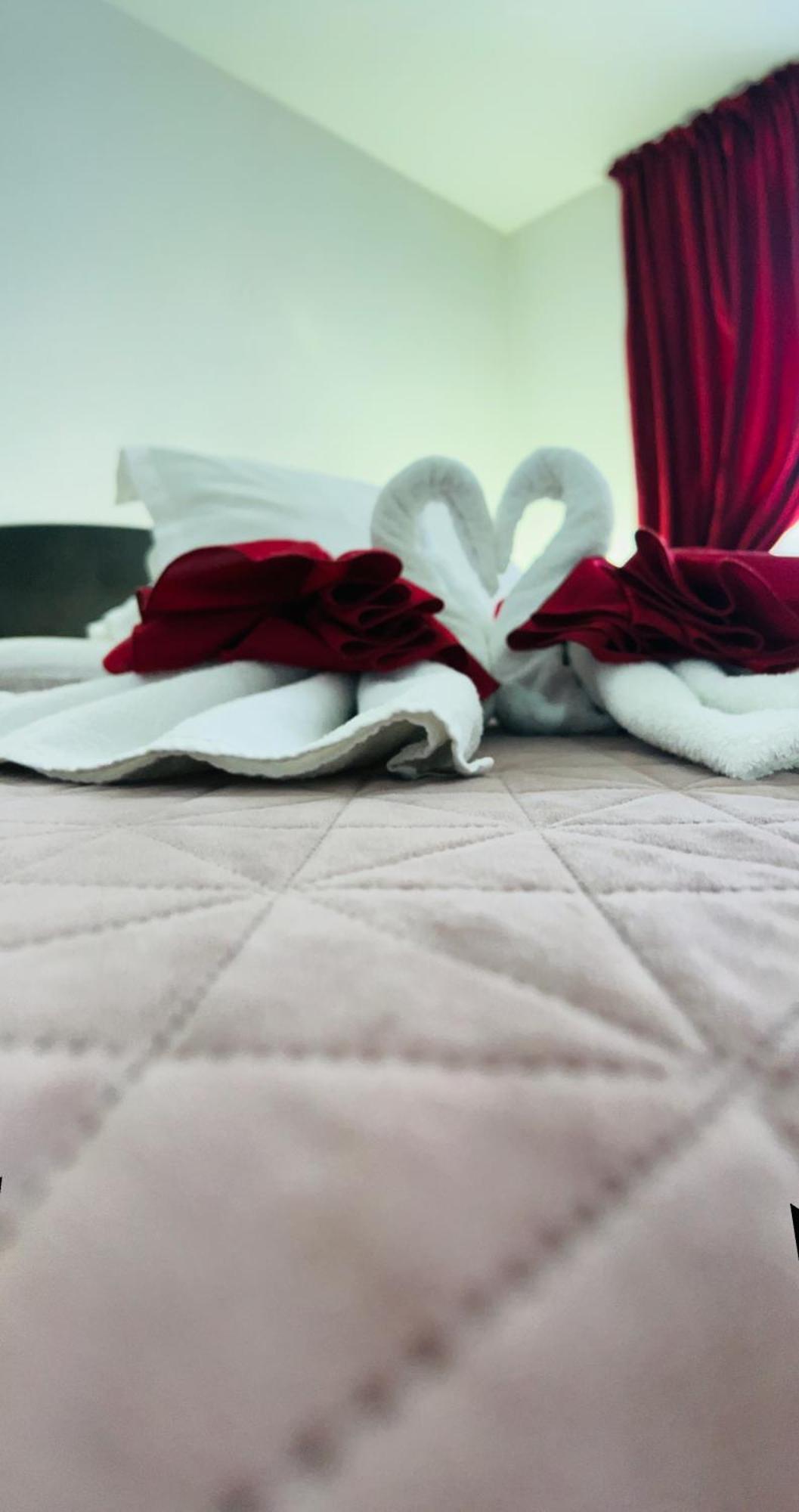 Casa Lupascu Hotel Dornavátra Kültér fotó
