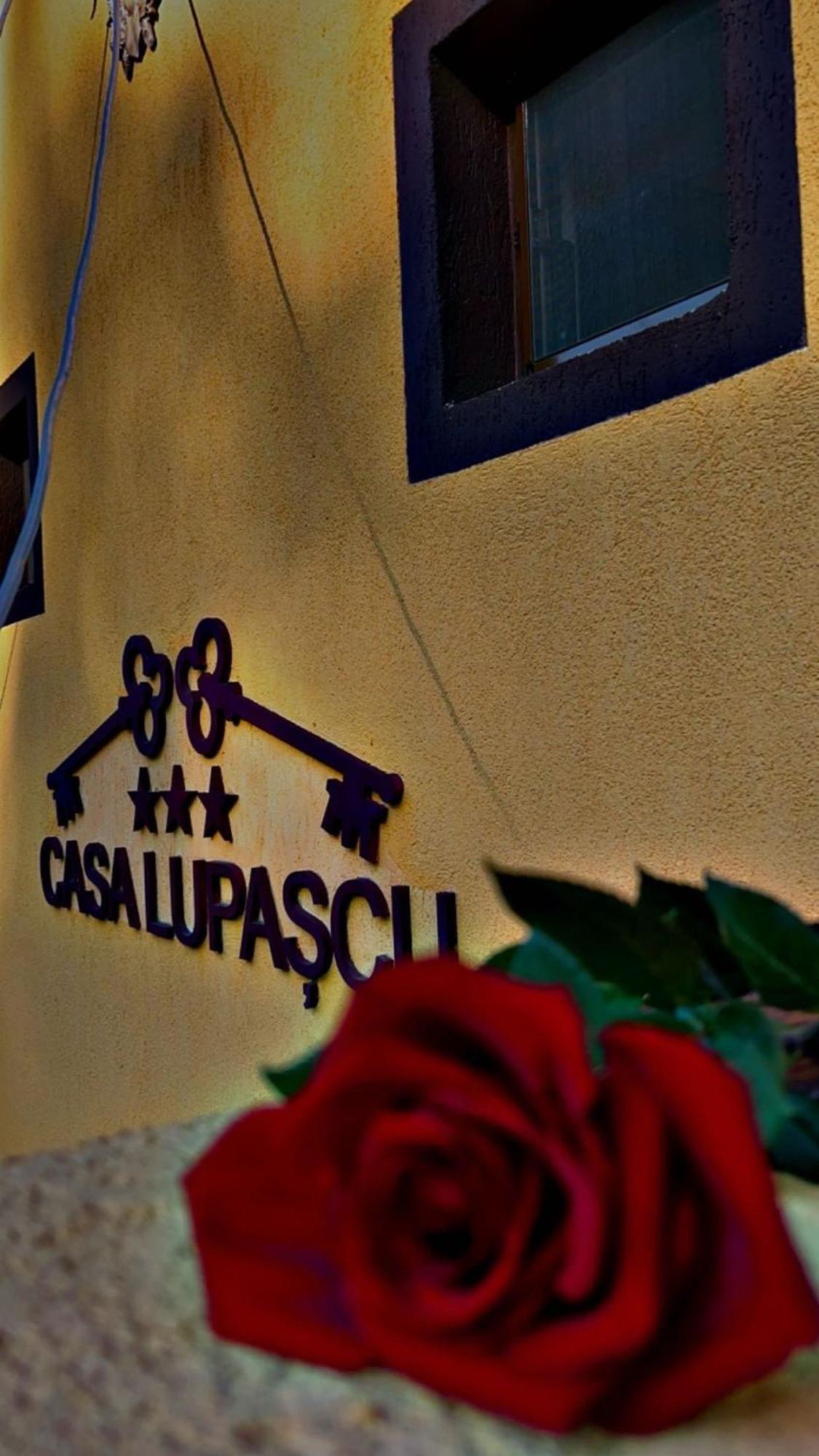 Casa Lupascu Hotel Dornavátra Kültér fotó