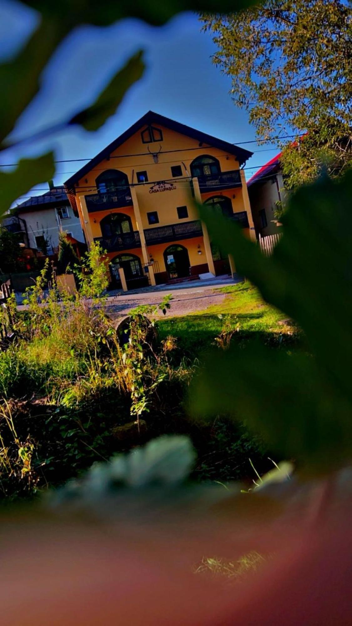 Casa Lupascu Hotel Dornavátra Kültér fotó