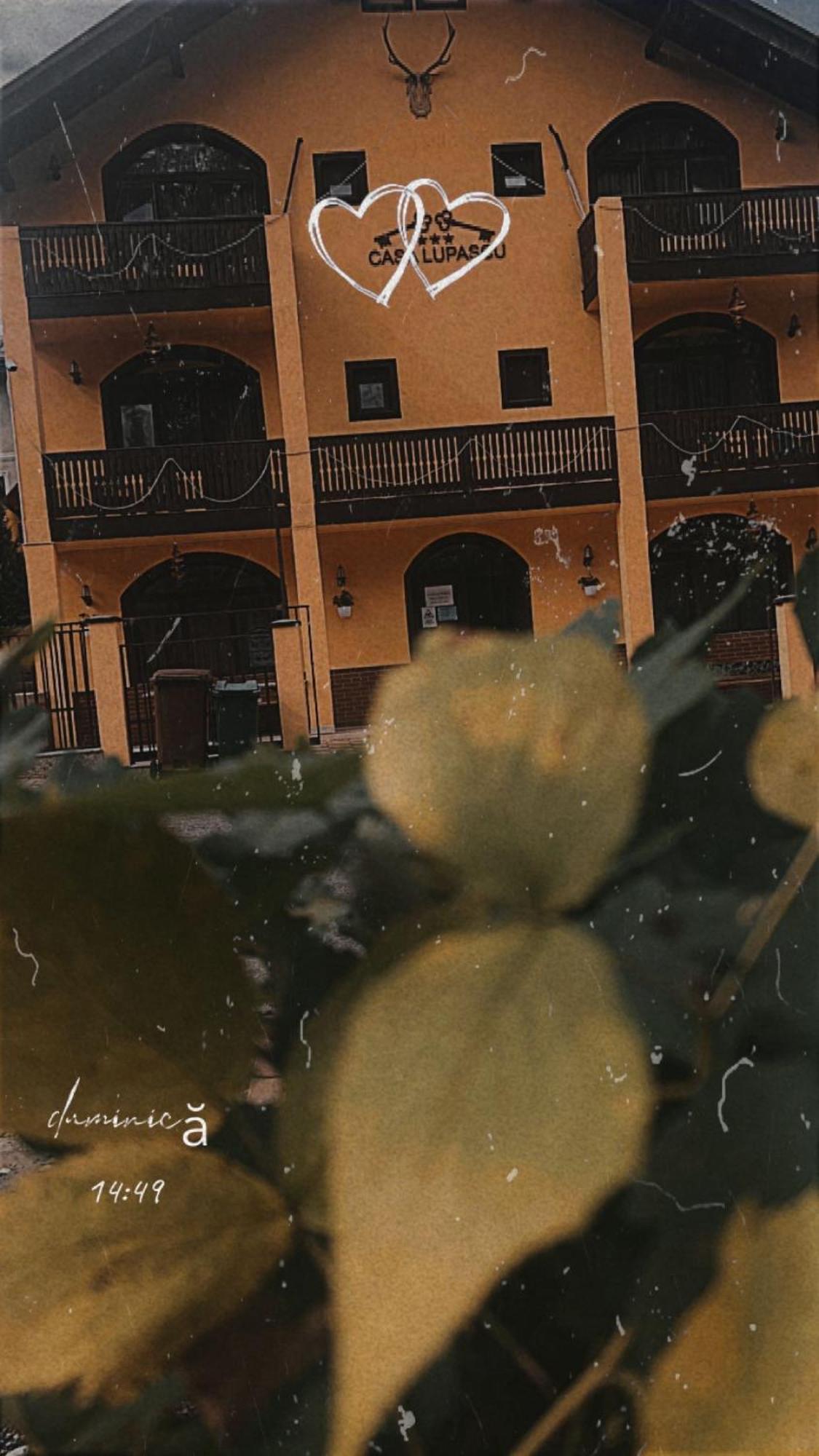 Casa Lupascu Hotel Dornavátra Kültér fotó