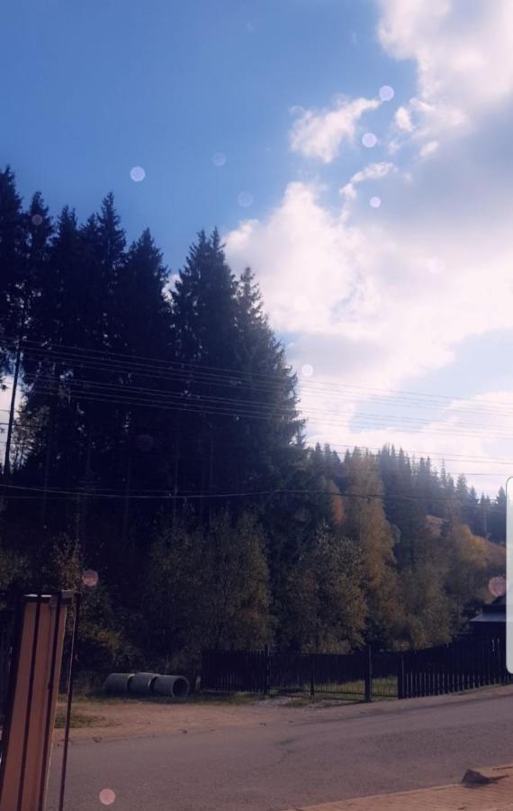 Casa Lupascu Hotel Dornavátra Kültér fotó