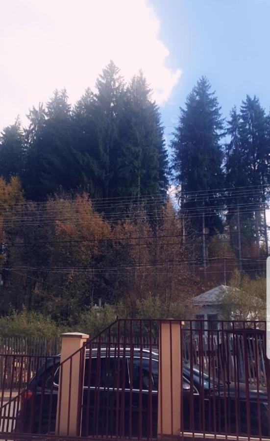 Casa Lupascu Hotel Dornavátra Kültér fotó
